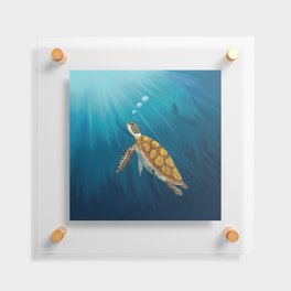 Sea turtle swimming in the ocean Floating Acrylic Print