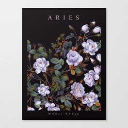 ARIES II Canvas Print
