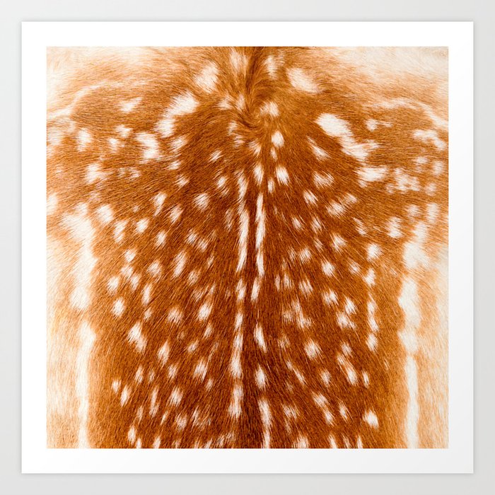 Natural deer skin, animal spotted fur pattern Art Print by medsis | Society6