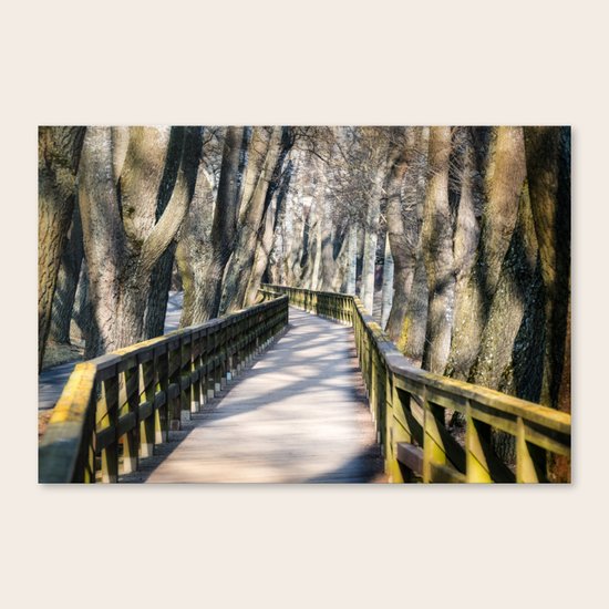 the bridge Canvas Print