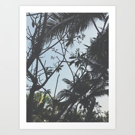 Under the palms Art Print | Tree, Palms, Green, Photo, Thailand 
