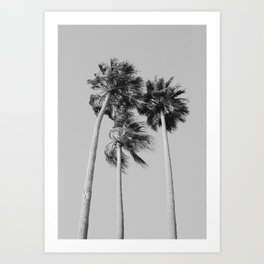 Palm Breeze Art Print | Mimimalist, Artsy, Simple, Trees, Bw, Explore, Black And White, California, Vibes, Sky 