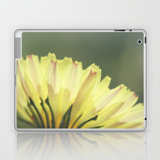 Sweet Petals Laptop & iPad Skin