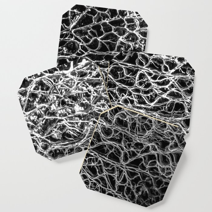 cactus pattern black and white Coaster