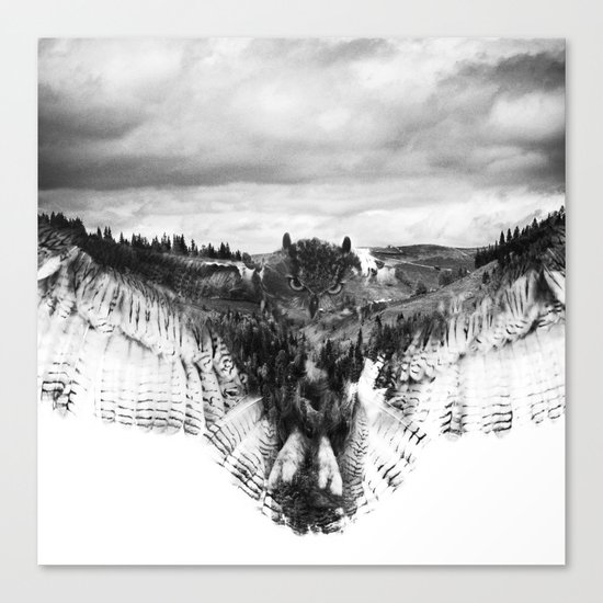 Owl Mid Flight Canvas Print
