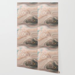 Earth Agate Texture 19 Wallpaper