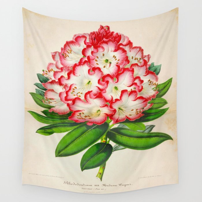 Rhododendron Madame Vintage Botanical Floral Flower Plant Scientific