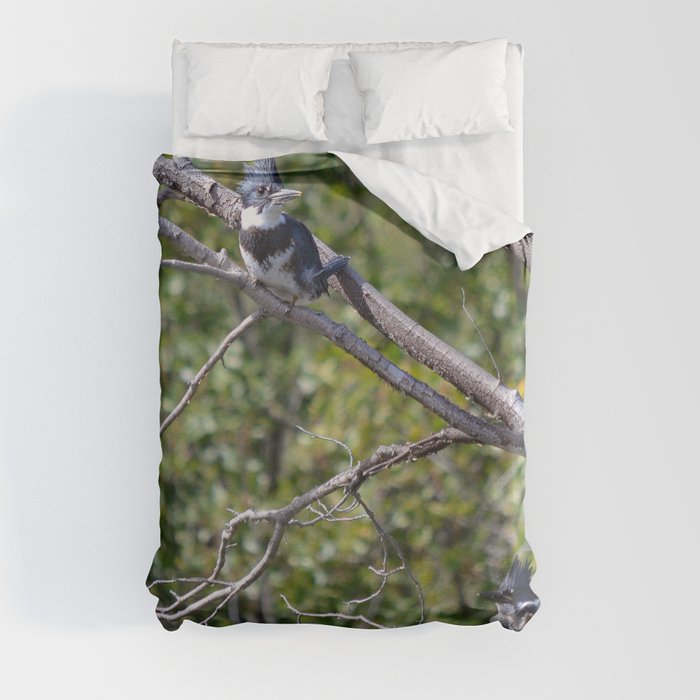Two 4 One - Belted Kingfisher Duvet Cover