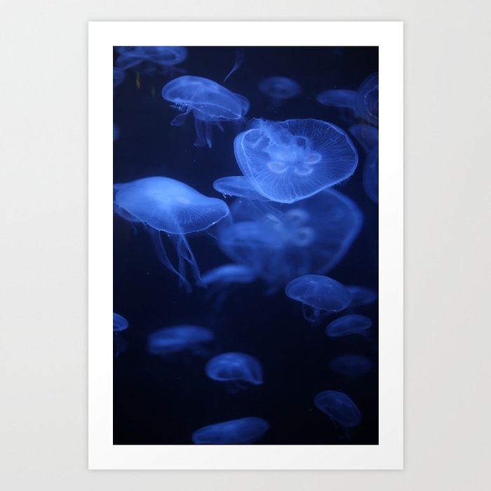 Jellyfish Glowing in Blacklight Photo Print 2 Art Print