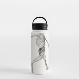 Human Skeleton, Lateral View Water Bottle