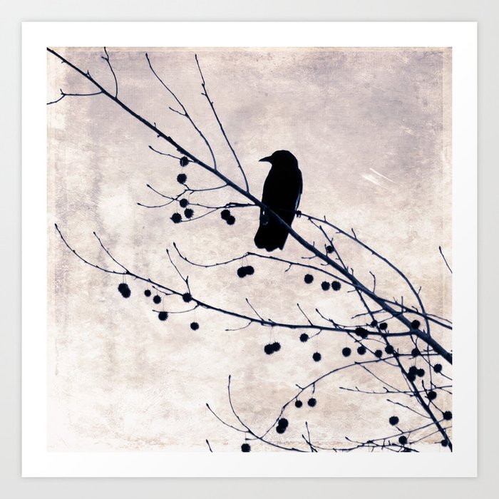 Crow Art Print