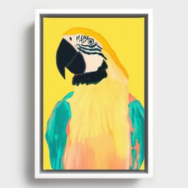 Parrot 3 Framed Canvas
