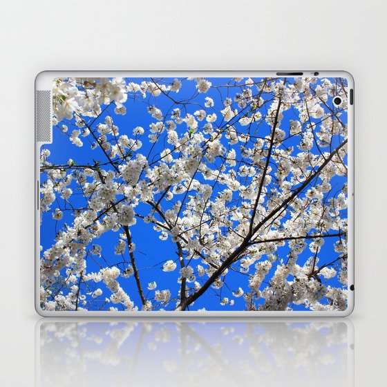 Cherry Blossoms in DC Laptop & iPad Skin