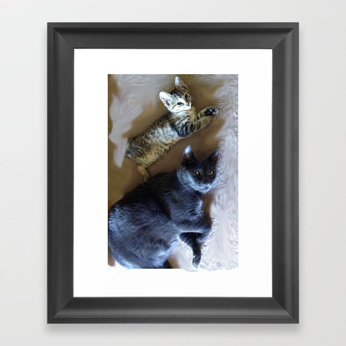 Kitty see kitty do... Framed Art Print