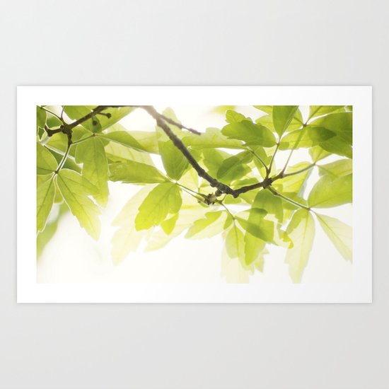 the Daily Sun Art Print