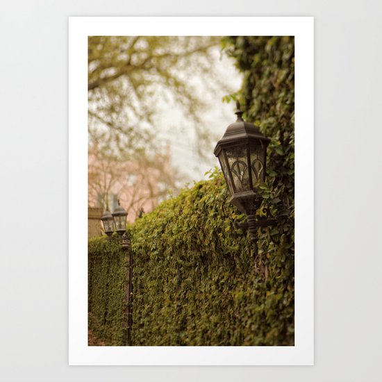 New Orleans - Ivy Garden Wall Art Print