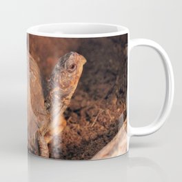 Pampered Turtle Coffee Mug