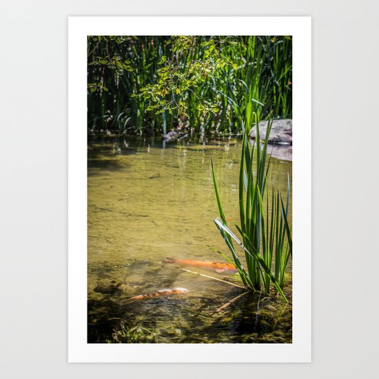 Pond Side Art Print