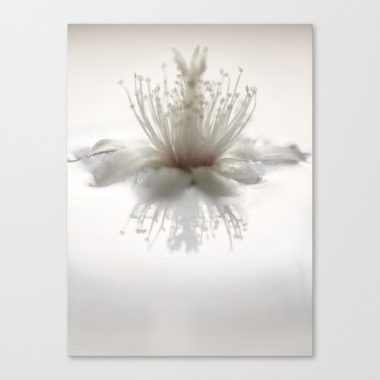 floating into the light Canvas Print