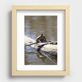A Relaxing and Balancing Turtle Recessed Framed Print