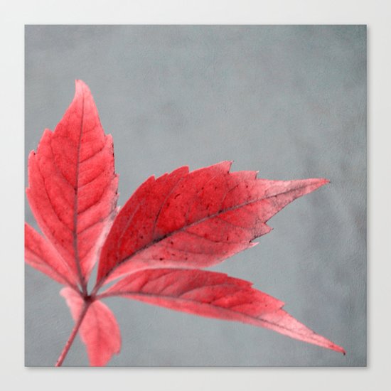 pink autumn Canvas Print