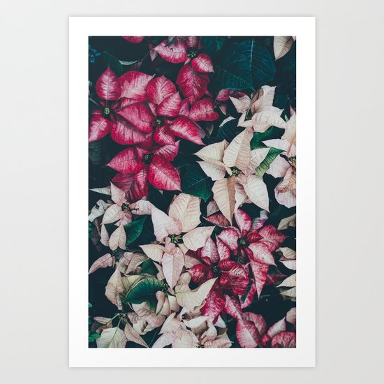 Botanical Beauty Art Print