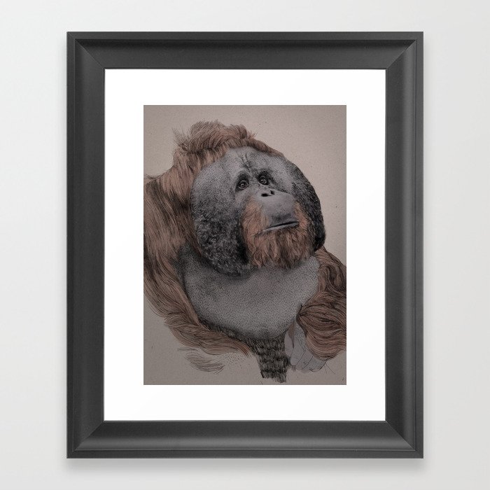 Orangutan! Framed Art Print