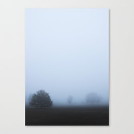 MISTY MORNING LANDSCAPE | Canvas Print