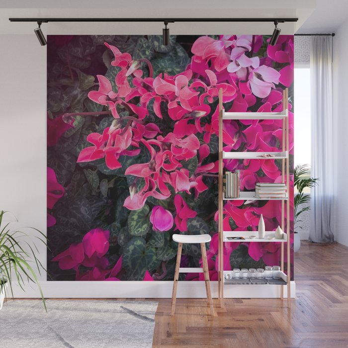 Pink Cyclamen Floral Garden Wall Mural