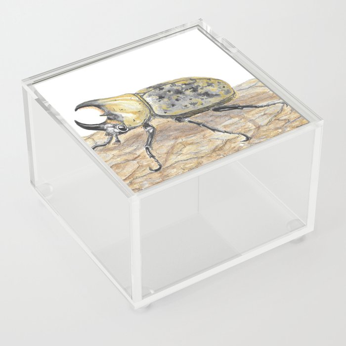 eastern hercules beetle Acrylic Box