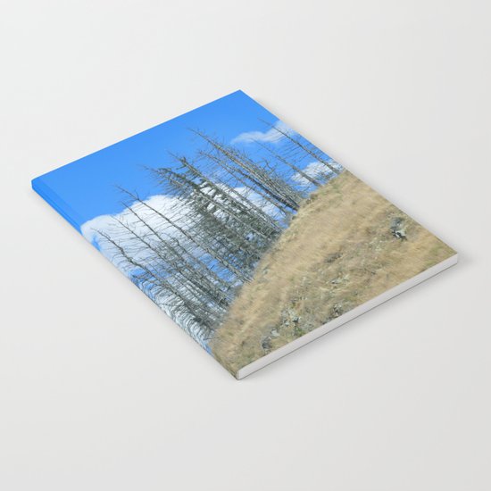 At The End Of The World Notebook