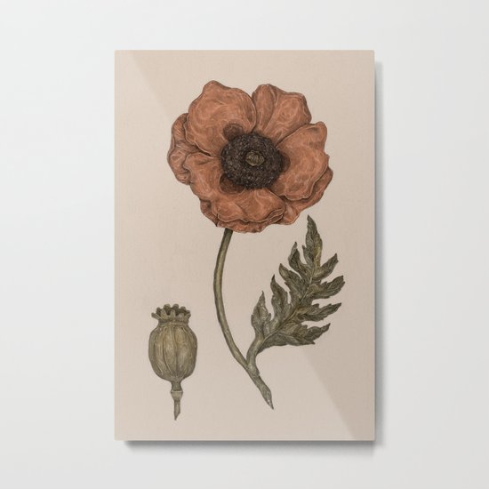 Poppy Metal Print