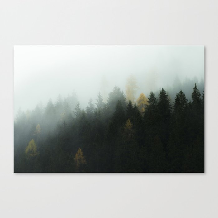 Morning Forrest Canvas Print
