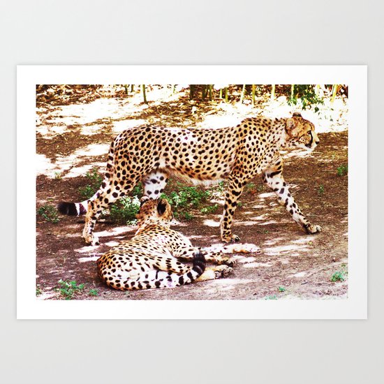 Pacing And Prone Art Print