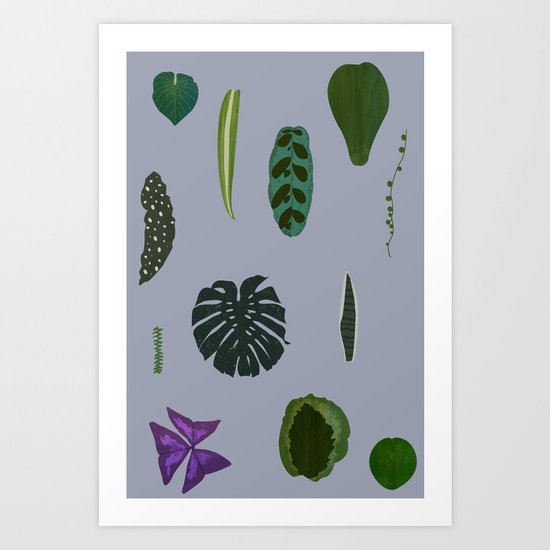 A non-scientific botanical investigation of the indoor plant. Art Print