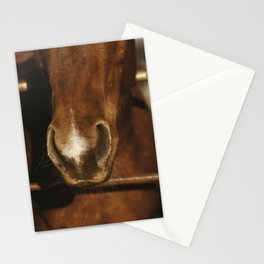 Rustic Horse Nose on Ranch Stationery Cards