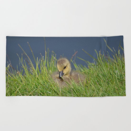 Fluffy Beach Towel