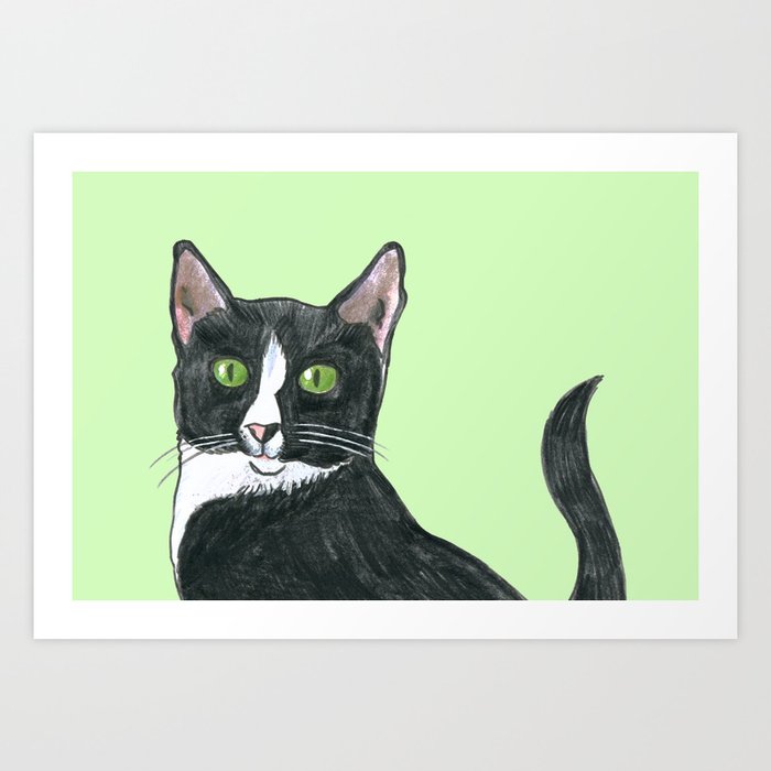 Black and White Cat  Art Print