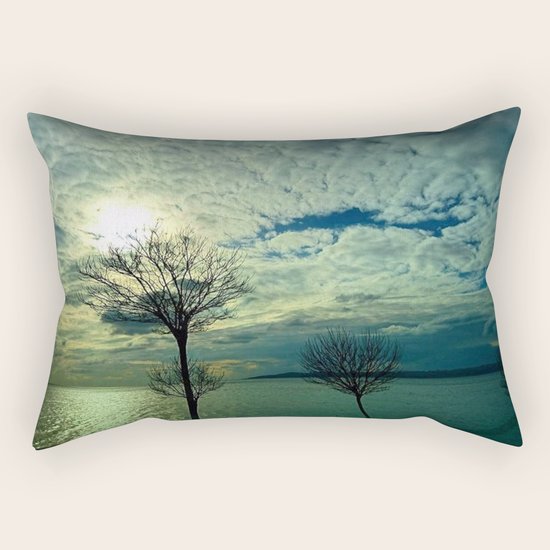 blue Rectangular Pillow