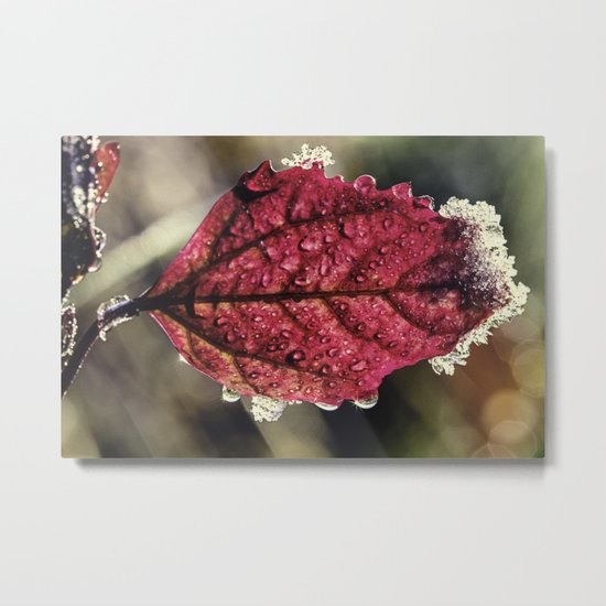 frosty Metal Print