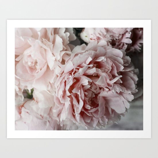 Peonies Art Print