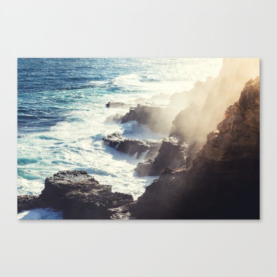 Ocean life Canvas Print