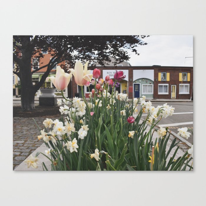 Flowers and Fish Canvas Print