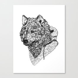 Mr Wolf Canvas Print