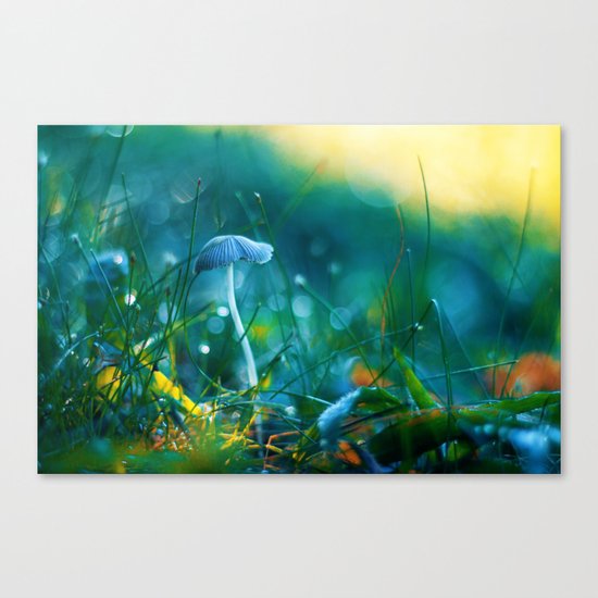 Emerging to Ocean Canvas Print
