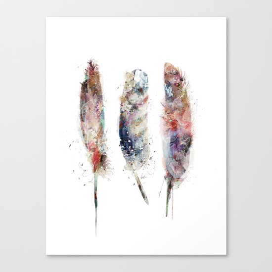 wild feathers Canvas Print