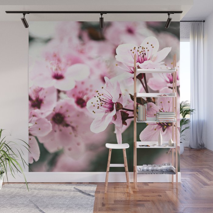 Cherry Blossom Close Up Wall Mural