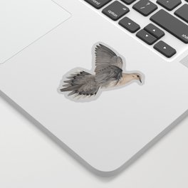 Mourning Dove Sticker