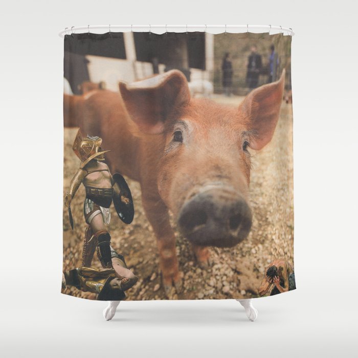 Circo Romano Shower Curtain By Aierim Society6