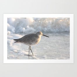 Falling asleep to the sound of the ocean Art Print